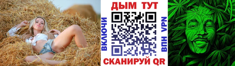 Шишки марихуана марихуана  Морозовск 